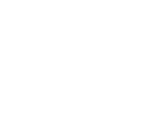 ae career institute